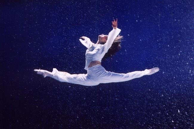 山翀2.jpg 山翀2.jpg