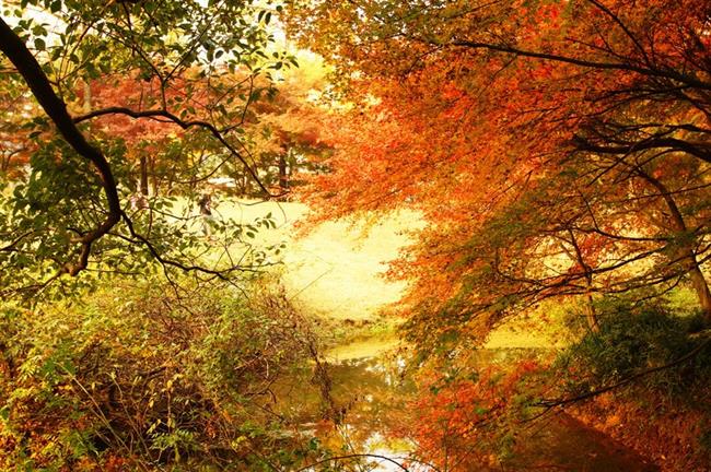 四版之四.jpg 四版之四.jpg