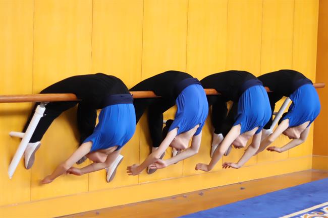 毯功软度训练.jpg 毯功软度训练.jpg