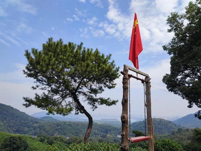 图片13.png 图片13.png