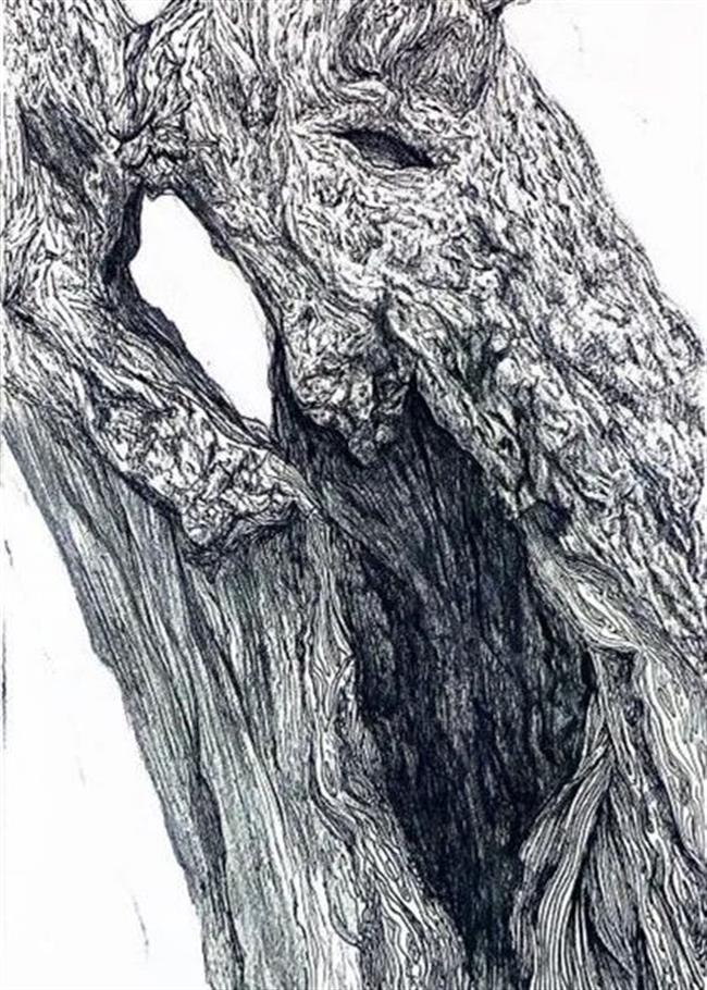 image023.jpg image023.jpg